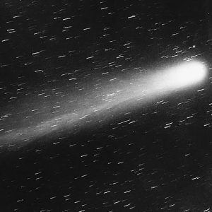 本屋にて、皆既日食とハレー彗星が同時に来たくらいの奇跡が起きたｗ