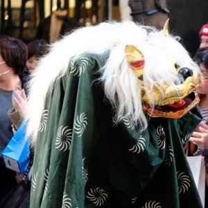渋谷で獅子舞の格好してるネコが歩いててかなりときめいた😆