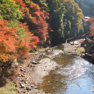 「なぜコレに穴をあけた…」京都の山中にある顔出し看板がシュールすぎるｗｗｗ