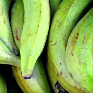謎が謎を呼ぶ…「調理用バナナ」を使ったドミニカ共和国の料理レシピが意味不明すぎると話題に