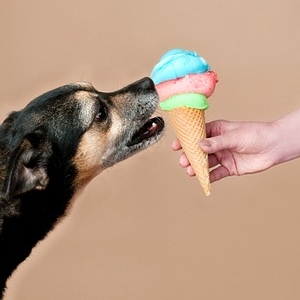 上海のファミマで売っている『犬の形をしたアイス』がリアルすぎて食べづらい…ｗ