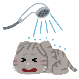 【動画】「お風呂で洗われたくない」という感情は猫をここまで賢くする😹