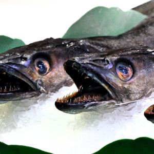 【衝撃】スーパーで売っている魚が壮絶な“オマケ”を咥えていたｗｗｗ
