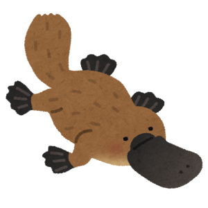 禁断 ポケモンのコダック人形からクチバシを外した結果ｗｗｗｗｗ えのげ