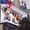 【驚愕】北海道テレビ、今流行りの“飛び出す猫”をいち早く実現していたｗｗ