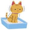 【イラスト】猫のトイレ砂を未開封で部屋に置いておいたら…とんでもない事が起こった😹