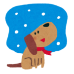【極寒】毛布に入ったままゴハンを食べたい妖怪ワンコが現れた…😂