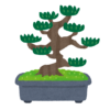「これが令和の盆栽か…」あるカタログギフトで選べる“2D盆栽”が風情のかけらもない件ｗｗｗ