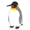 「なんてワイルドな…」旭山動物園のキングペンギンが“ギャランドゥ”すぎると話題にｗ