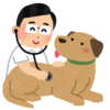 【全力】秋田犬が人間のワクチン接種会場を「動物病院」と勘違いした結果…ｗ