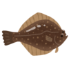 【動画】「ダルマガレイ」の幼魚、ステルス能力が高すぎるｗｗｗ