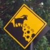 “野ヤギによる落石注意！”というレアな交通標識があったので「んなバカな」と上を見上げてみたら…😨
