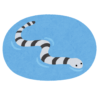 【衝撃】某水族館にいる「ホタテウミヘビ」の寝方が凄いｗｗｗｗ