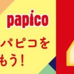 【天才】パピコの「食べてるうちにもう一個が溶けちゃう」問題を解決する神ガジェットが爆誕ｗｗｗｗｗ