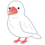 【衝撃】うちの文鳥が水浴びしたら…男前になったｗｗｗｗ