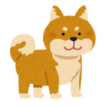 柴犬を飼っていると毎朝こんな幸せな光景で目を覚ます…🐶