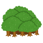 【実験】「くまのプーさん」のぬいぐるみを森に5年間放置すると…こうなる🤔