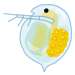 【驚愕】あるレジン作家が作った“ミジンコ”の機械化アートが凄すぎる😳「世界で通用するレベル…」