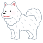 【動画】ぷるんぷるん…サモエドを撫でたときの“耳の動き”にX民悶絶ｗｗ