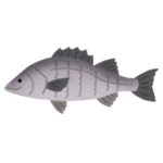 【納得】知り合いが釣ったシーバスがあまりにゴールデンすぎたｗｗｗｗ