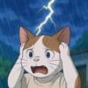 「気持ちは分かる…」雷が鳴り出すと“シャコタン＆最徐行”になる猫さん😂