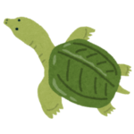 Wikipediaで「スッポン」の項目を読んでいたら…JRのとんでもない“黒歴史”が晒されていたｗｗｗ