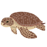 水族館に行ったらリアル「タートルトーク」みたいな写真が撮れたｗｗｗｗ