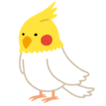 【悲報】インコが“壁かじり”するのを躾けないと…こうなりますｗｗｗｗ