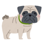 【衝撃動画】ゲリラ豪雨にソワソワするパグを撮影していたら…目の前の電柱に雷が落ちたｗｗｗｗｗ