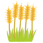 【レビュー】150円で売っているドンキホーテのラガービールを飲んでみた結果ｗｗｗ