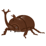 【困惑】このカブトムシの路上販売が…虚無すぎるｗｗｗｗｗ