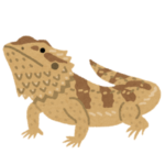 【本能】ケージに入った「フトアゴヒゲトカゲ」は地震が起きるとこうなる…😂