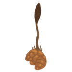 【生薬】X民がタイで買ったという「虫刺されオイル」の中身がキモすぎるｗｗｗｗ