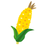 オカメインコが大好物の茹でトウモロコシにかぶりついた結果ｗｗ