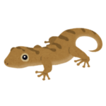 「なんて尊いの…」生んだ卵を両前足で大事そうに抱えるニホンヤモリが可愛すぎるｗｗｗｗ