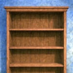 【衝撃】米テキサス州の書店で今月から『ドラゴンボール』など日本の漫画が撤去され始めている!?