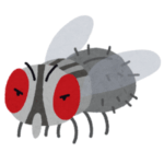 「なぜ日本に…」映画『ザ・フライ』の撮影に実際使われたハエ人間が意外な場所に展示されていたｗｗｗ