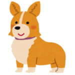 【破顔】動物園に連れて行ったら「園内で一番カワイイ」と言われてしまったコーギーがコチラですｗｗｗ