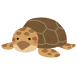 吸い寄せられそう…「ウミガメの目のドアップ写真」が銀河すぎると話題に😳