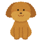 あくびする時に奥歯に物が挟まったような顔をするトイプーを獣医に診てもらった結果……😅