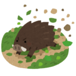 【🐻】田舎の母に「熊大丈夫？」と聞いたら「熊は大丈夫だけど猪が凄い」→送られてきた写真が凄すぎたｗｗｗ