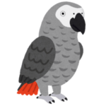 【👁】飼い主のカキカキが気持ちよすぎて目半開きになるヨウムがXで話題にｗｗ