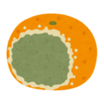 【腐海】腐ったミカンをさらに数日放置してみた結果ｗｗｗｗｗ