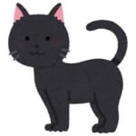 【衝撃】バス停で黒猫によく遭遇するなぁと思っていたら…意外な事実が発覚ｗｗｗｗ