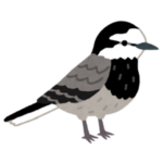 【動画】「水が凍ってて飲めないよー」と人間にアピールする野鳥が可愛すぎるｗｗｗｗ