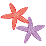 【やぁ】愛知県の水族館でフレンドリーすぎるヒトデが目撃されるｗｗｗｗｗ