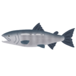 【衝撃】東北にある道の駅、「新巻鮭」の売り方が独特すぎるｗｗｗｗ