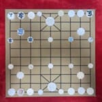 【足かけ6年】韓国から漂流してくる「将棋の駒」を集めて１セット完成させたX民が話題に😳